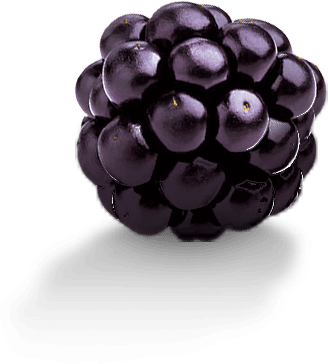 Berry floating near the new poppin product