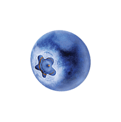 Berry floating near the cloud at the bottom