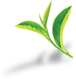 Tea leaf floating near the new poppin product copy